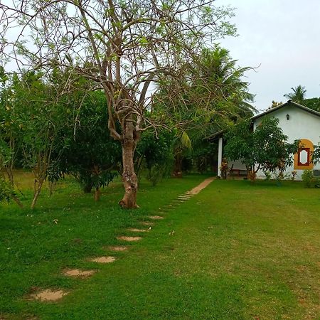 Hideaway Homestay Habarana Eksteriør bilde