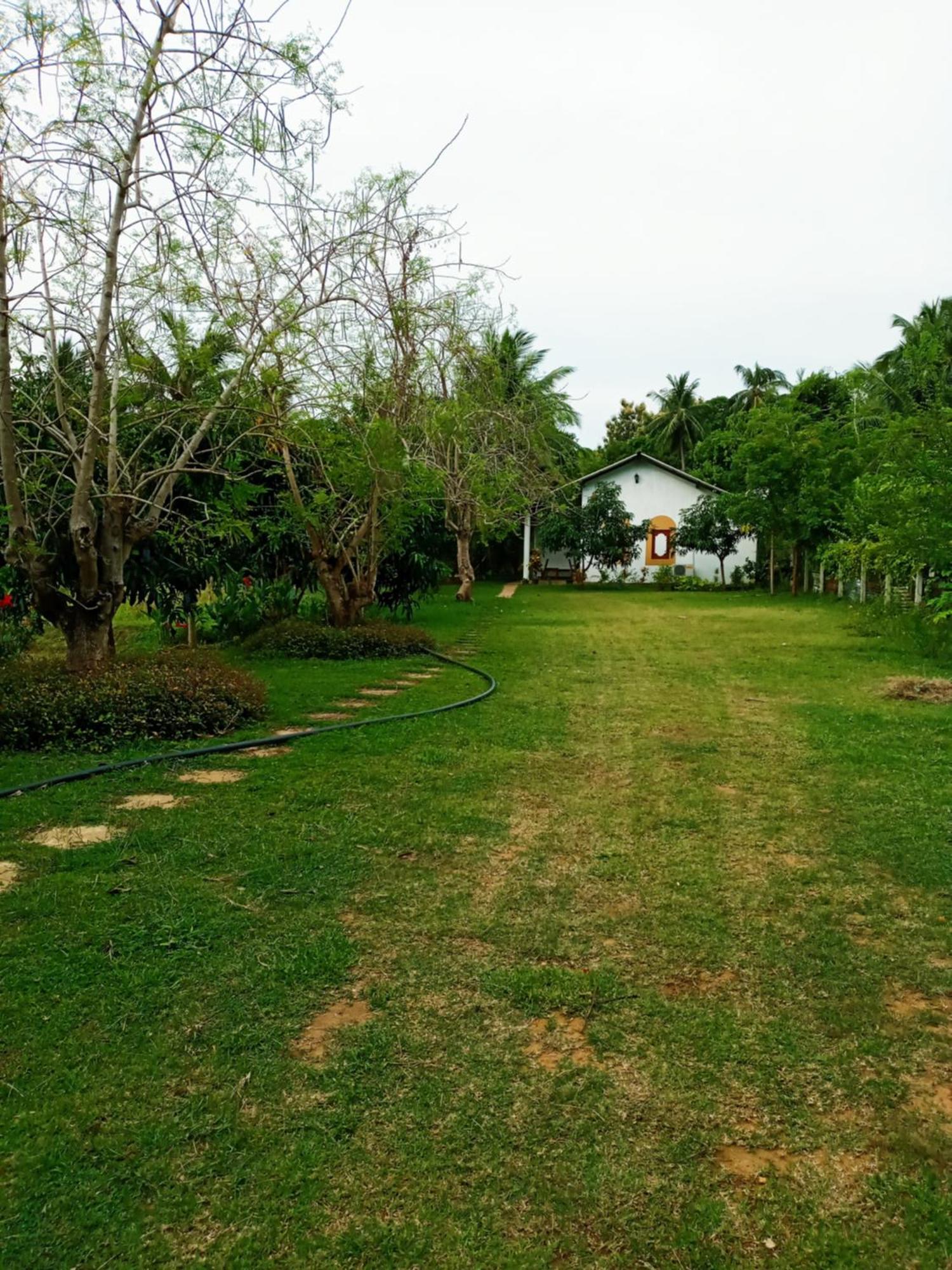 Hideaway Homestay Habarana Eksteriør bilde