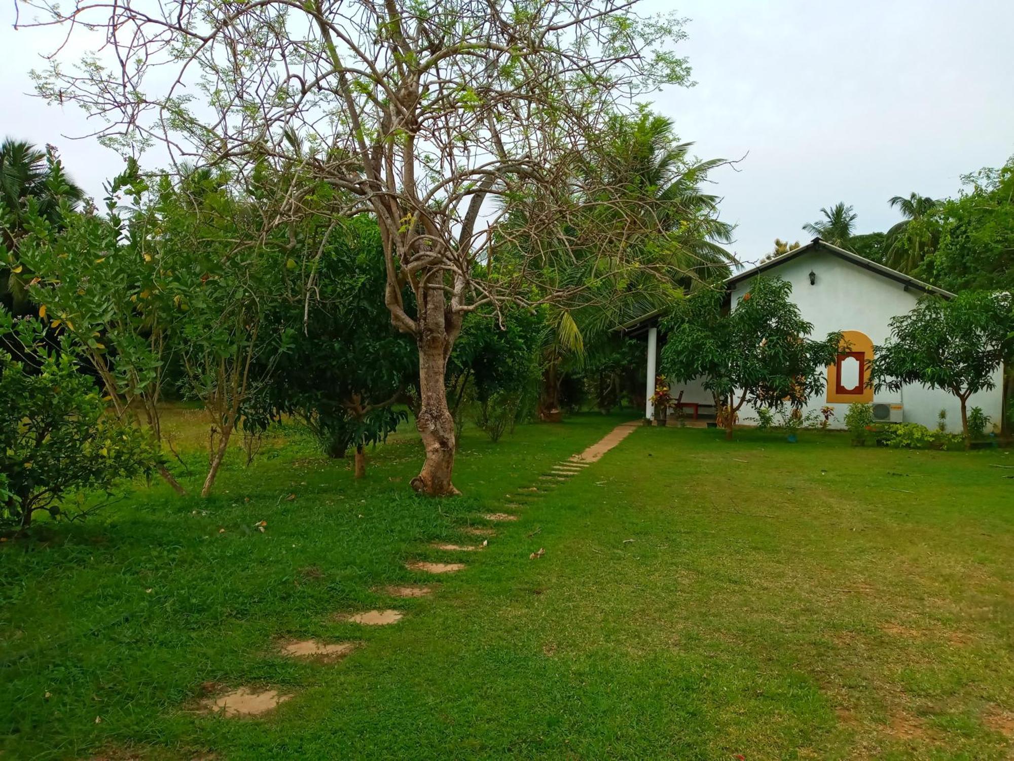 Hideaway Homestay Habarana Eksteriør bilde