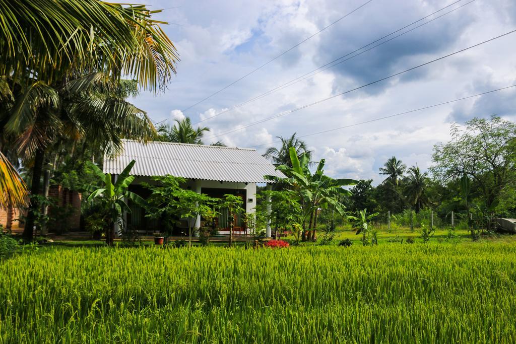Hideaway Homestay Habarana Eksteriør bilde
